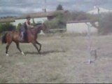 moi et mon cheval en saut