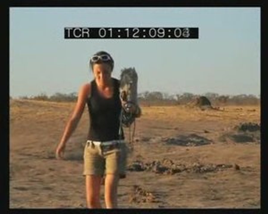 Les elephants ont soif!