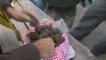 Marché aux truffes (Combien ça coûte ?)