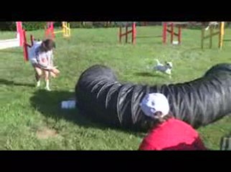 Trump Jumping Agility Oyrières 23/08/2009