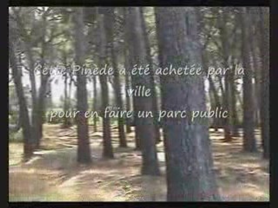 La Pinède du Colombet à Sanary est menacée par le casino