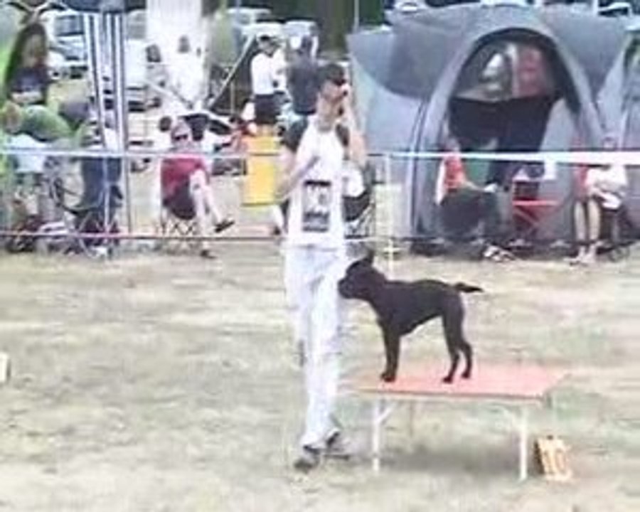 COGNAC AGILITY - OPEN - VODKA - 12 07 09