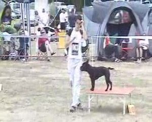 COGNAC AGILITY - OPEN - VODKA - 12 07 09