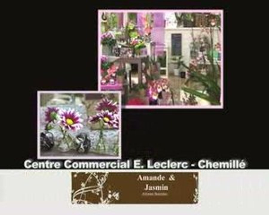 montage choisi leclerc