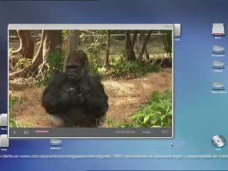 Dancing Gorila Anuncio Ono