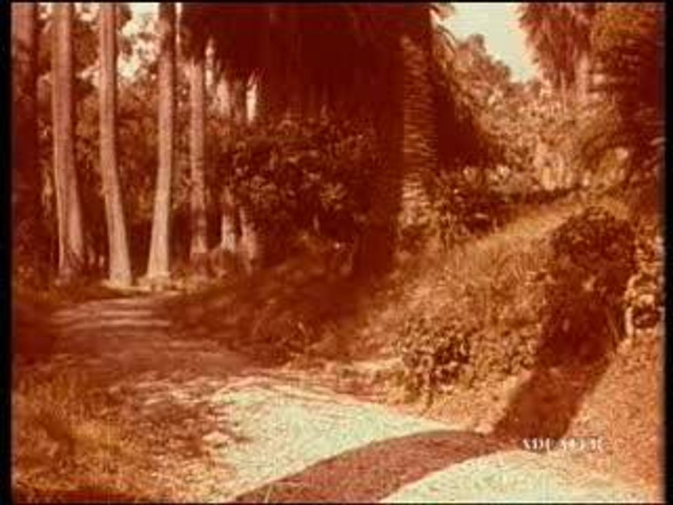 Pub Renault 4 afrique