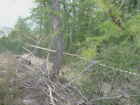 course descente vtt aux sauzes aout09