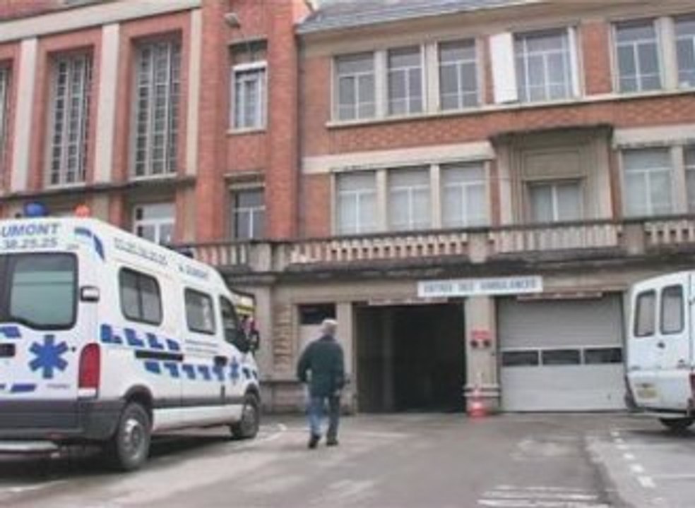 Une fillette agressée par un chien dangereux (Troyes)