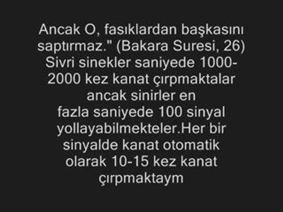 sinegin zikri