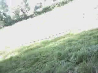 Dans la pature avec la dtmx.