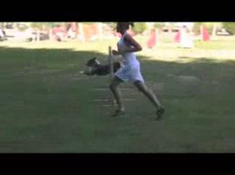 Cayenne GPF Agility Oyrières 23/08/2009