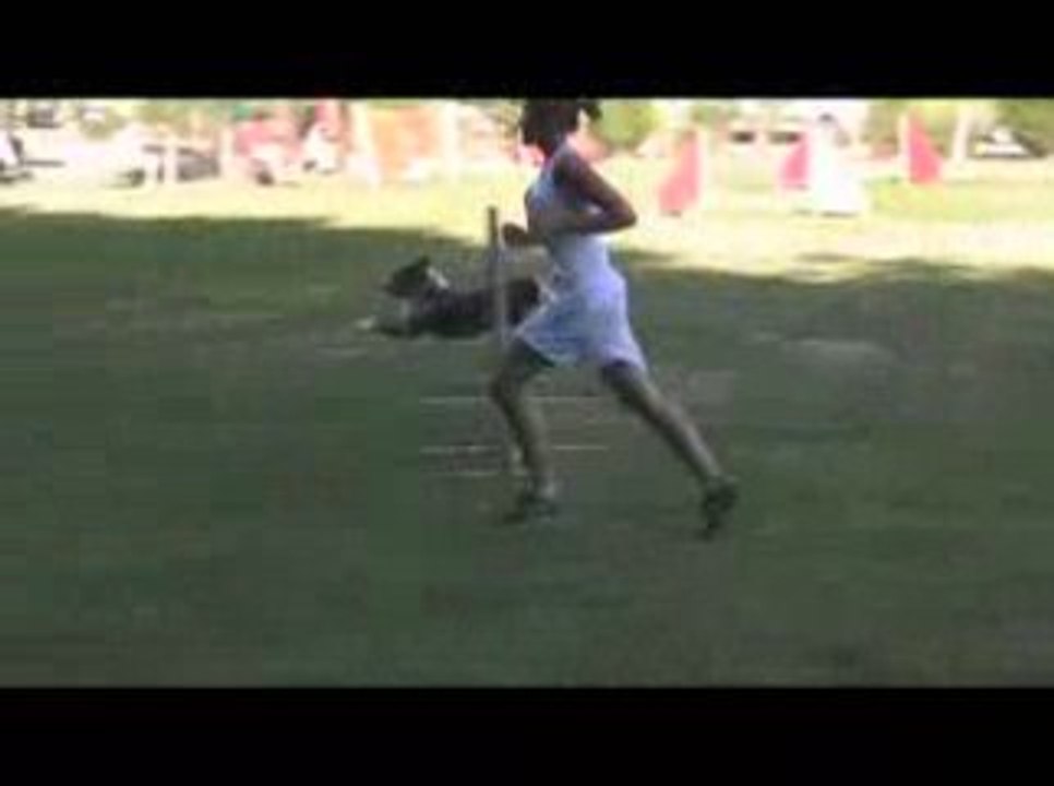 Cayenne GPF Agility Oyrières 23/08/2009