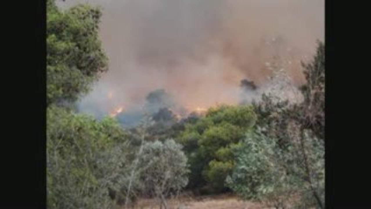 Νέα Μάκρη - 24/08/2009 (Athens on Fire)