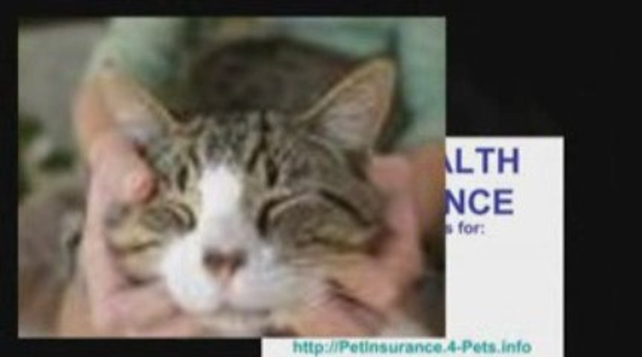Pet Insurance - Your Pet Deserves It!