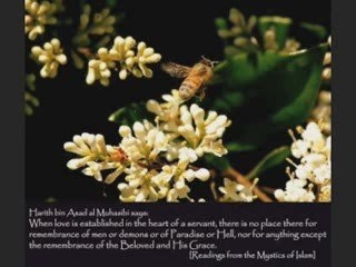 which of Allah's favours