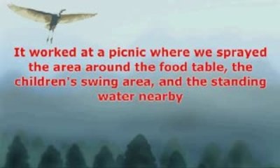 Say good bye to mosquito ,flies, ants & wasps