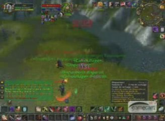 Farfah Rogue PVP 80