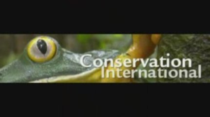 What you should know about Gordon Moore?