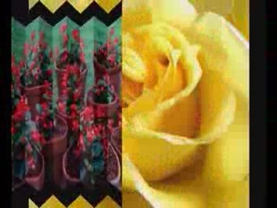 Gel Seydaya-Hacegan İlahi Grubu