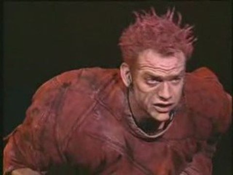 Belle (Notre-Dame de Paris)