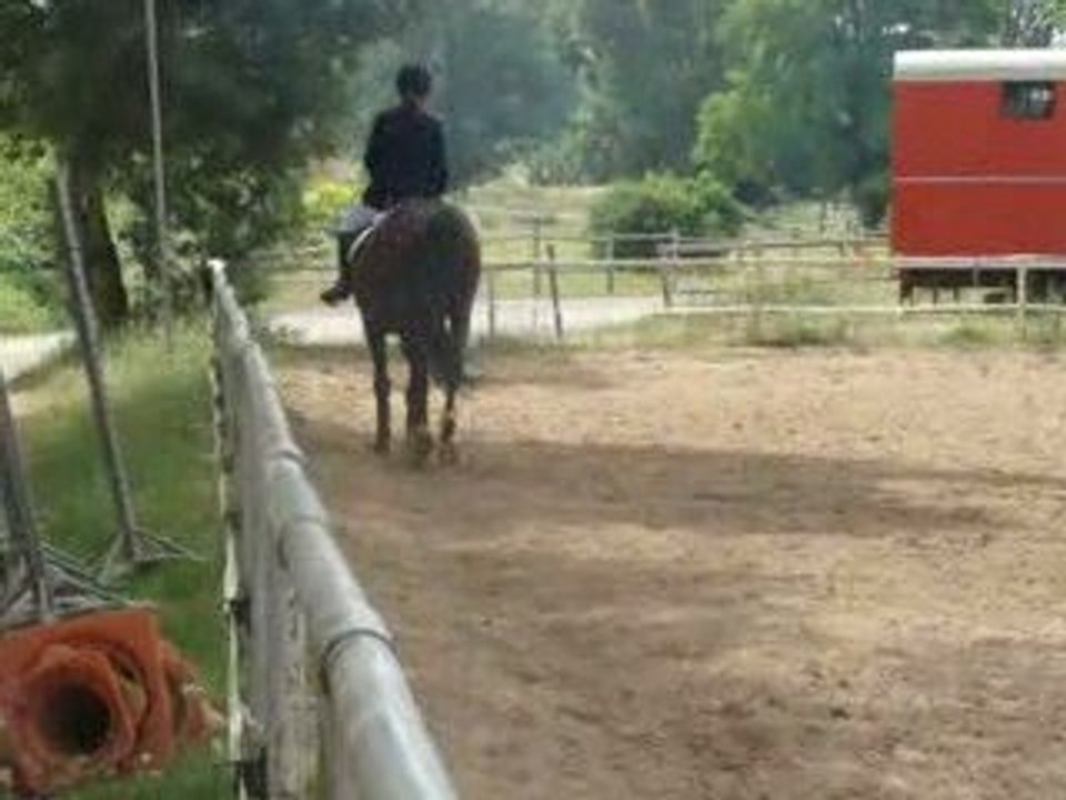 reprise dressage galop 7