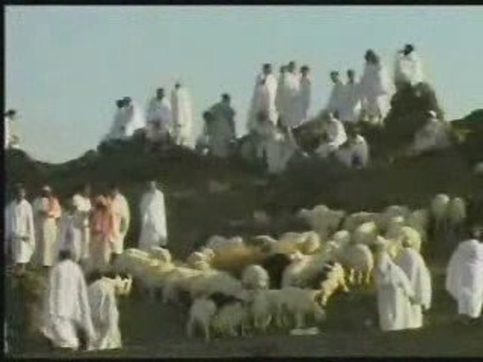 Geldim Sana-Celaleddin Ada