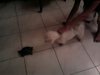 Fripouille et Maya 3