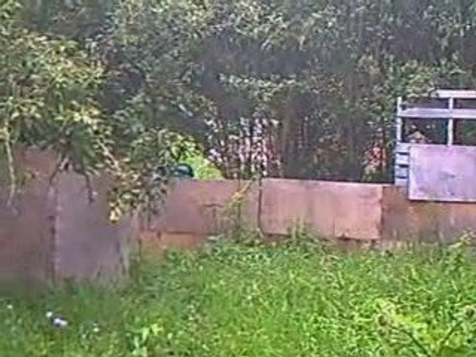 Shooting Airsoft SAS Prouvy :: ALL IN ACTION ::