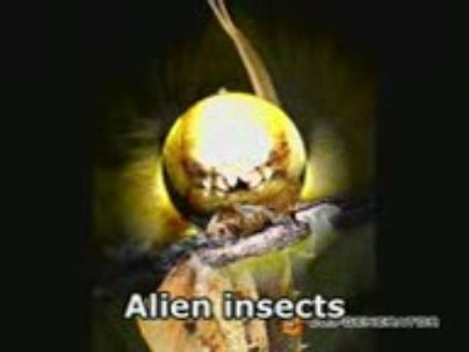 107.Alien Insect_mpeg4
