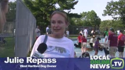 Pooches Plunge at West Hartford's Kennedy Pool
