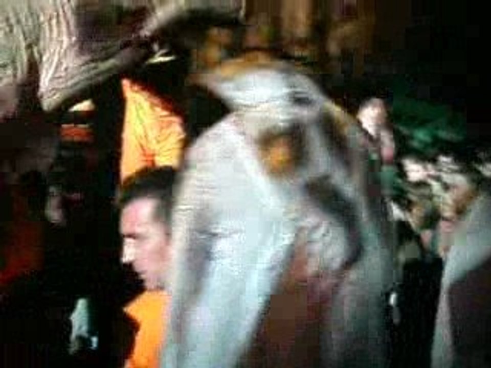 Festival d'art de rue @ Aurillac - Generik Vapeur (5)