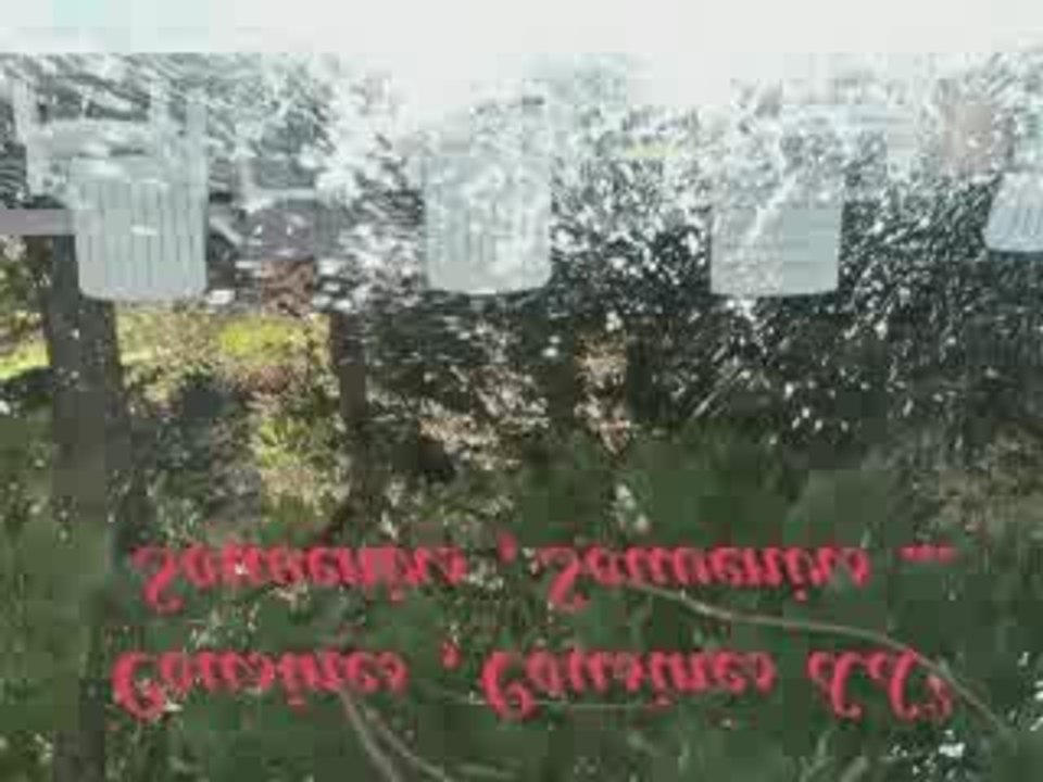 Cousines , Cousines &&² Souvenirs , Souvenirs ...