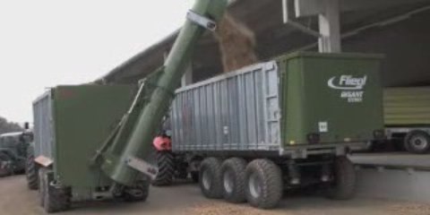 Remorque à fond poussant Fliegl + option vis transbordeur