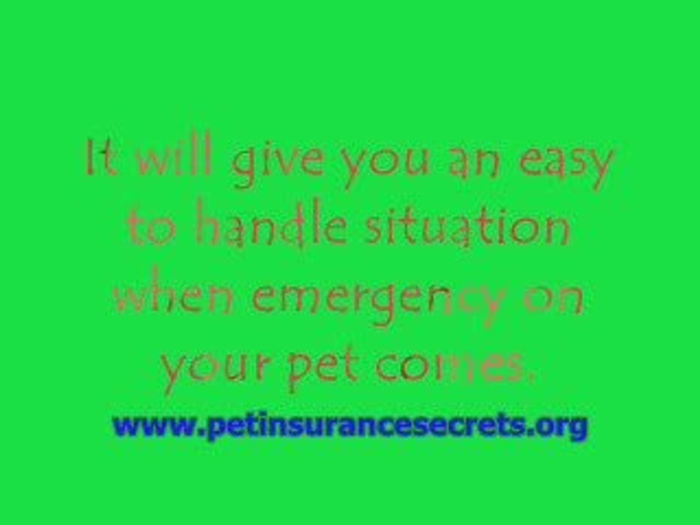 ⁣Pet Insurance