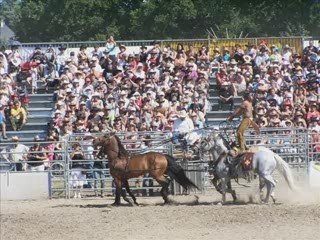 BAIN DE BRETAGNE 2009