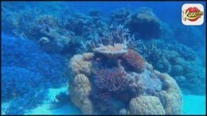 Cinéma : Voyage sous les mers