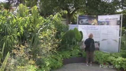 Promenade à Bagatelle, dans les pas de Charles Darwin...