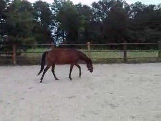 Tornado - 1ere fois en carrière