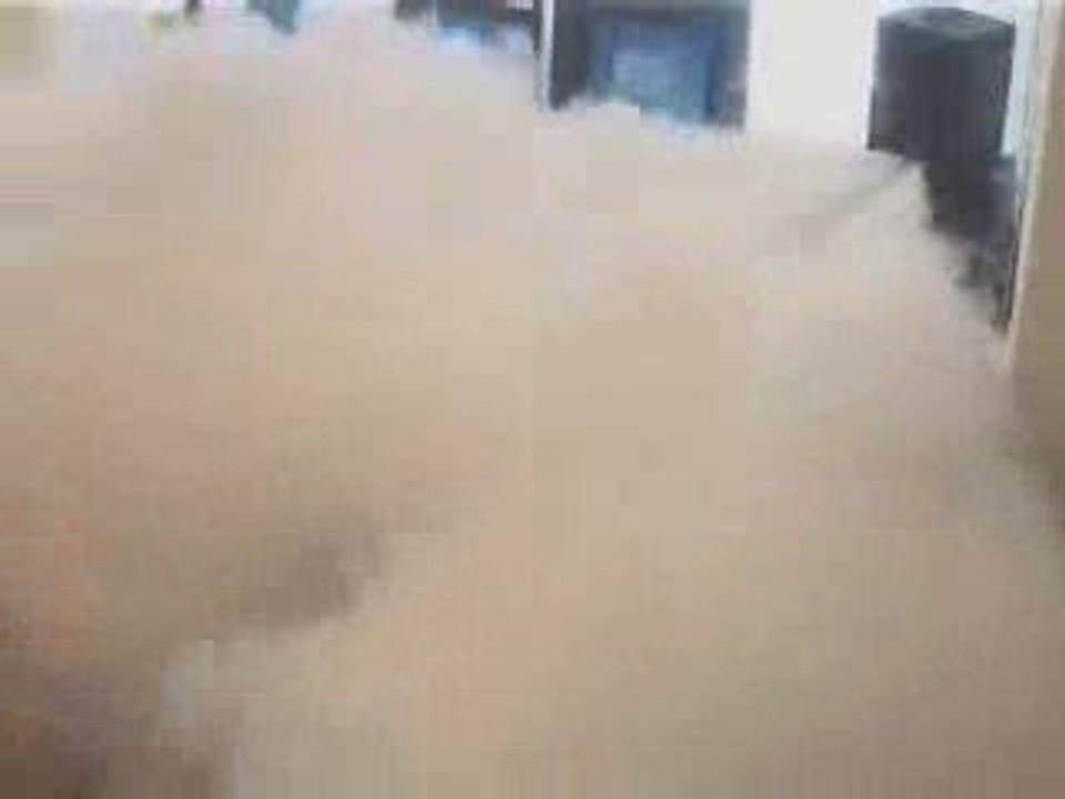 ALARME STOP INTRUSION DEMO BROUILLARD 2