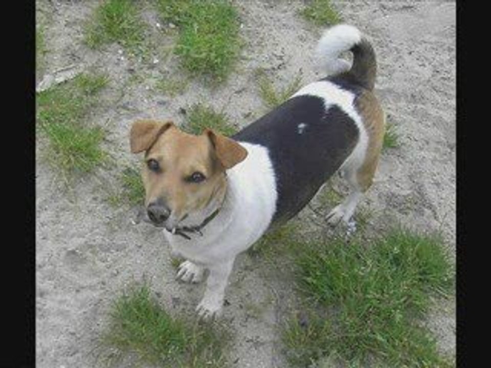 Sécurité routière a Cysoing