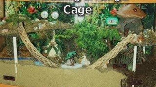 Hermit Crab Cages