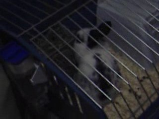 Nesquick Qui Mange ^_^