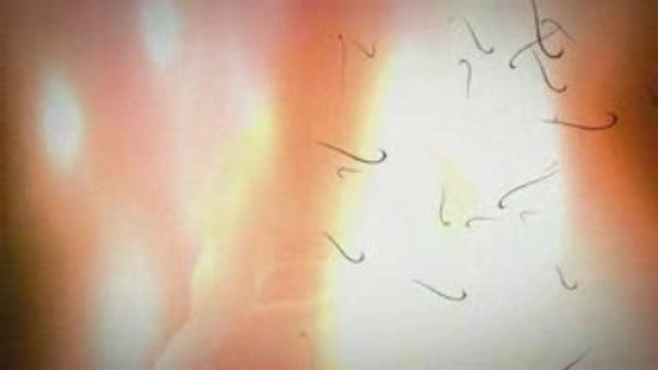 Trailer WoW Cataclysm