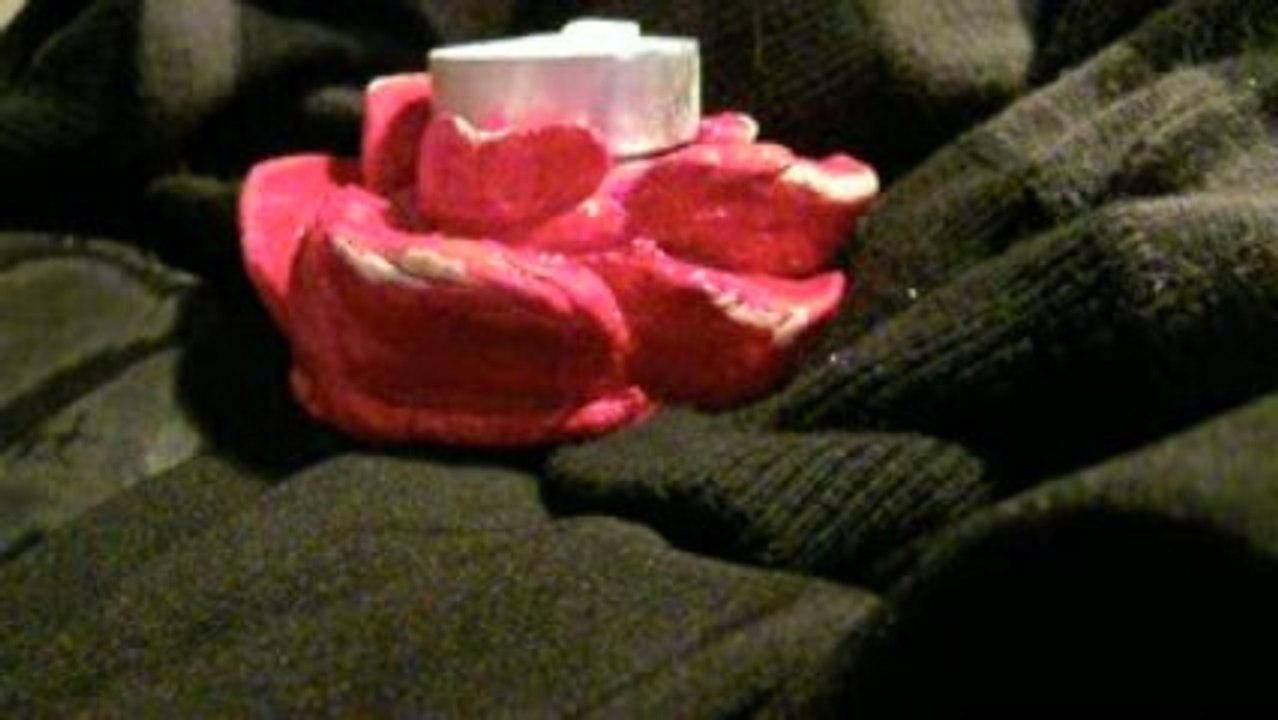 Si tu veux mon coeur