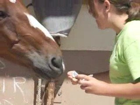 Juan qui mange une compote