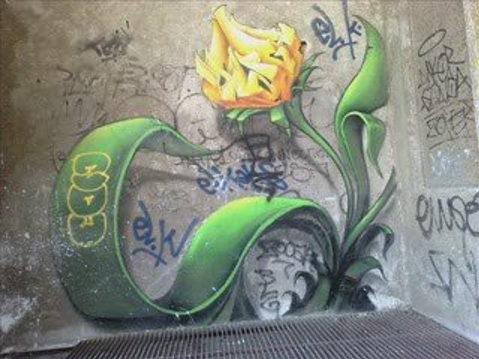 Shooting 21 Août 2009