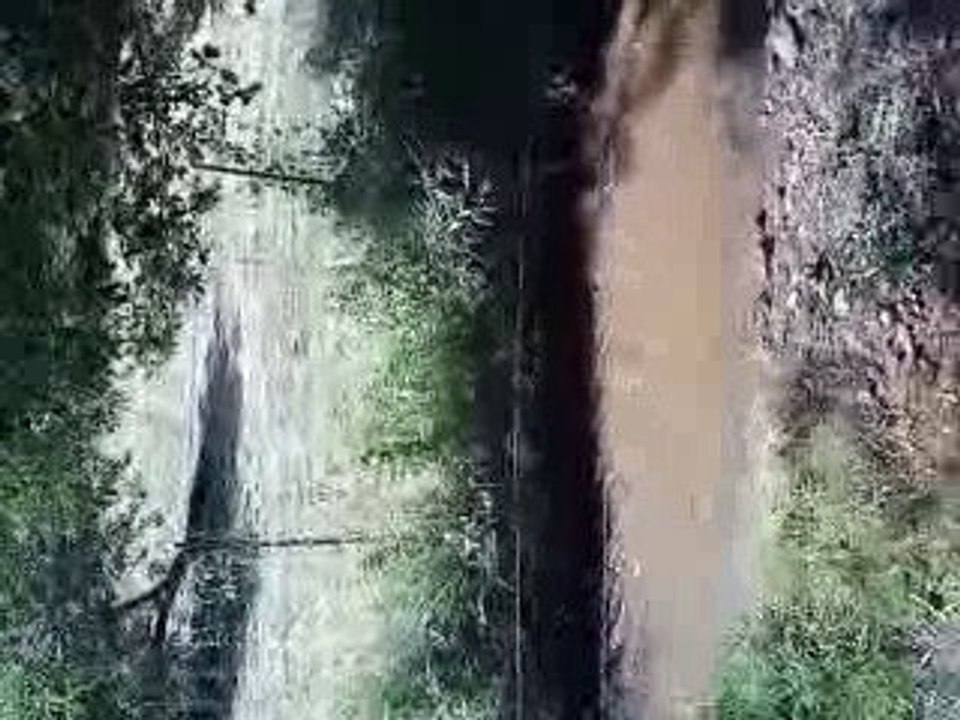 La coulée de bou...se