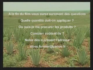 ALOE VERA- CICATRISATION PLAIES CHEVAUX