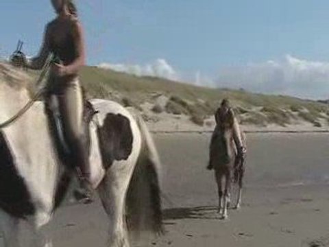 Arroyo en cordelette sur la plage