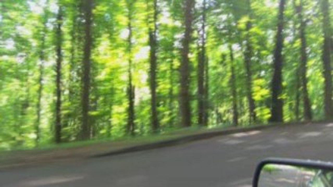 Smoky Mts 2009